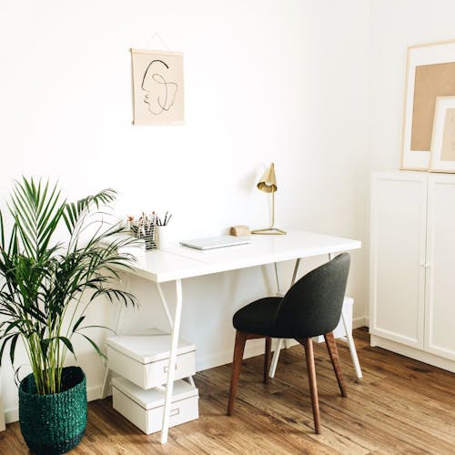 Un salon avec un bureau, une chaise et une plante