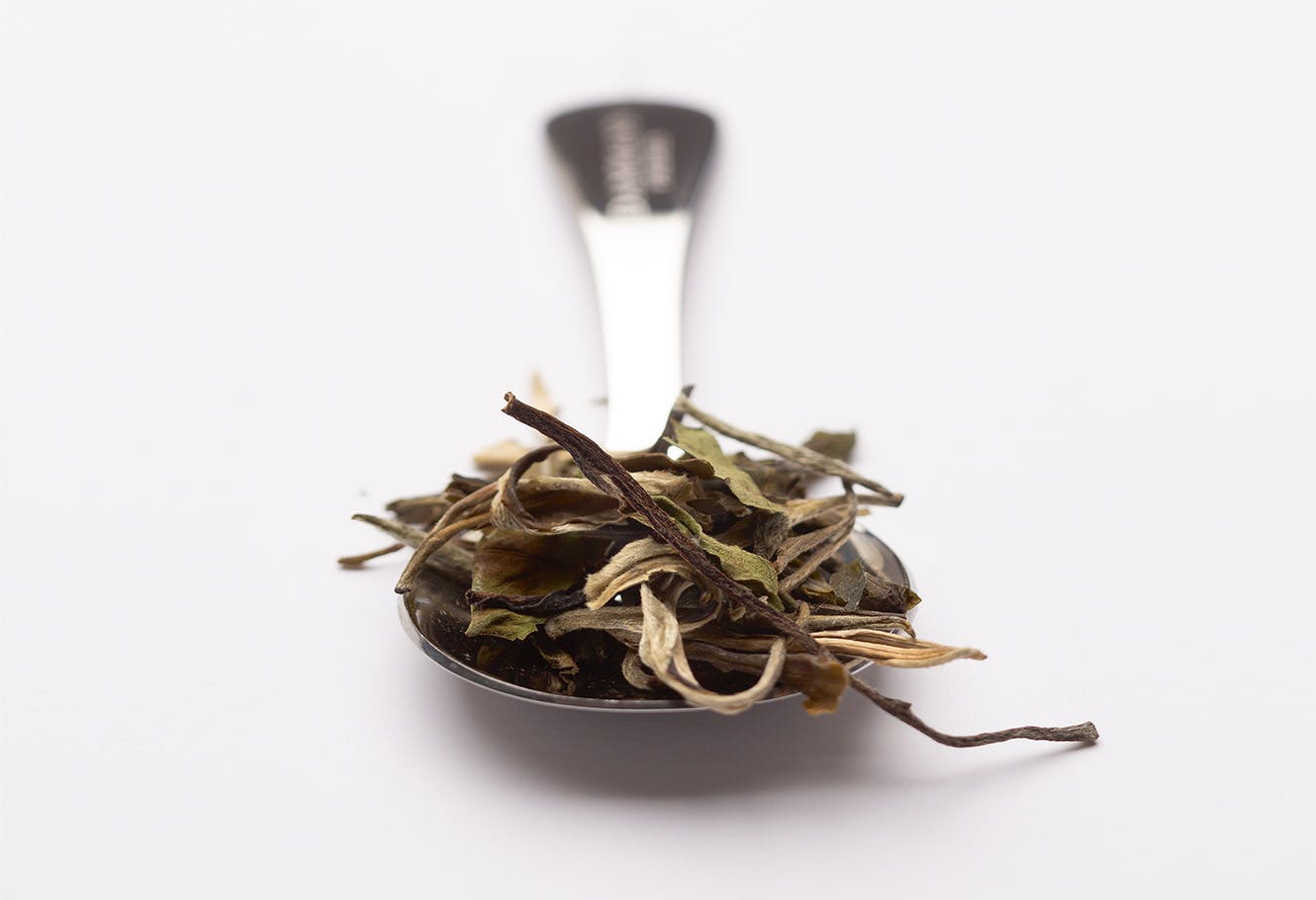 Découverte du thé : le thé blanc qu'est ce que c'est ?