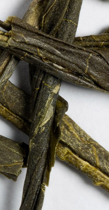 Thé Sencha du Japon