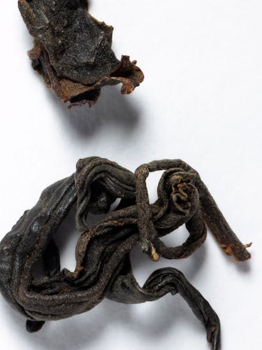 Feuille de thé noir.