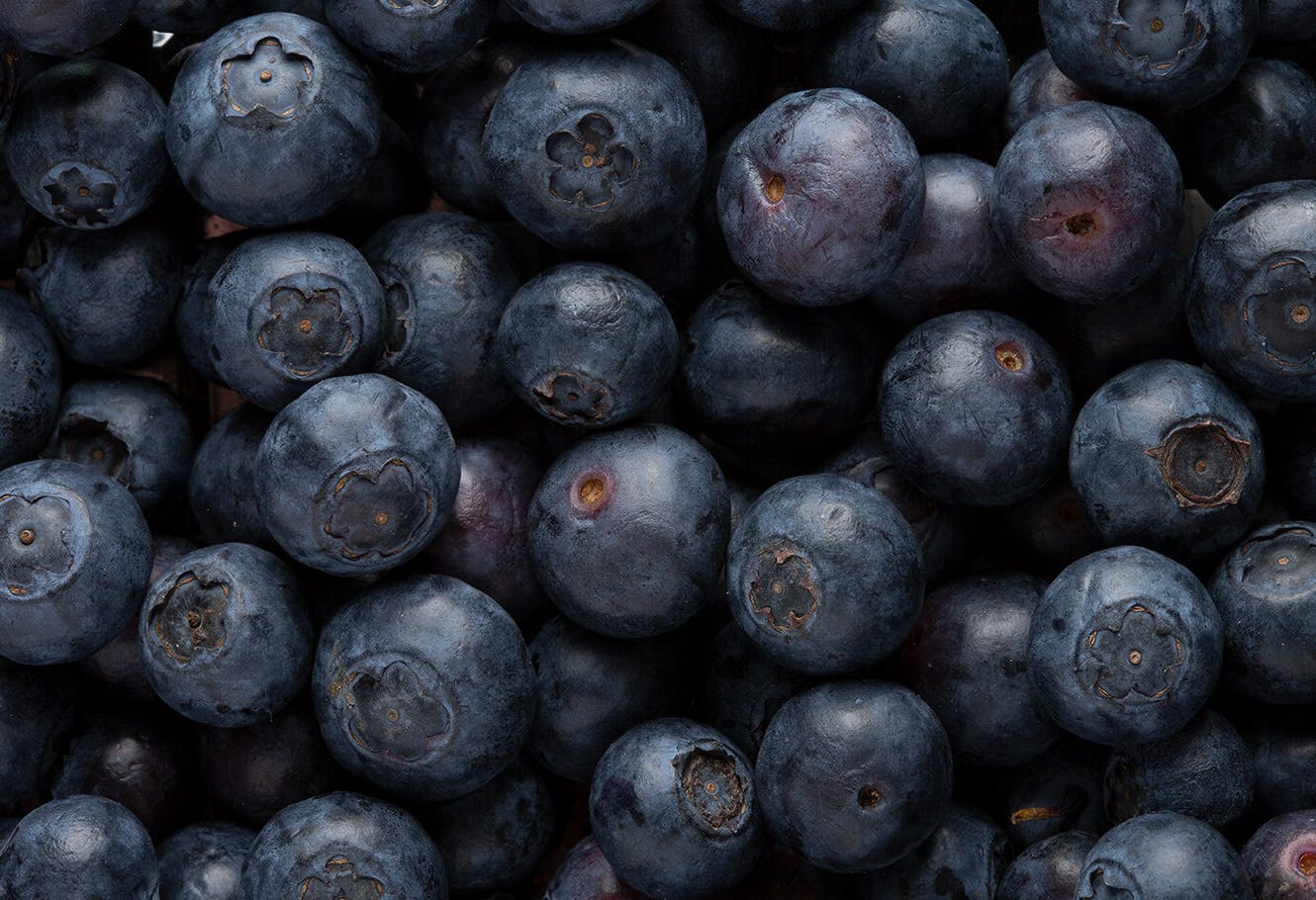 Blueberries in bulk.