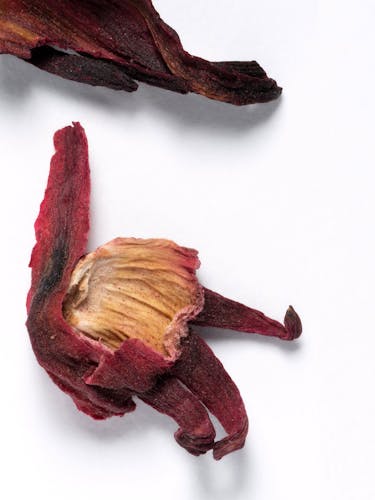 Fiore di ibisco.