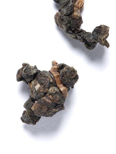 How Oolongs Are Made
