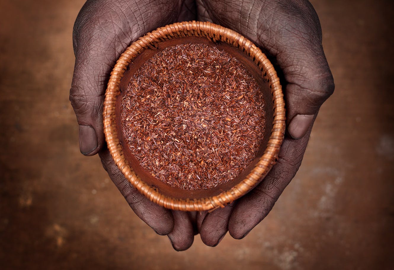 Rooibos en vrac dans un bol tenu dans les mains d'une personne.