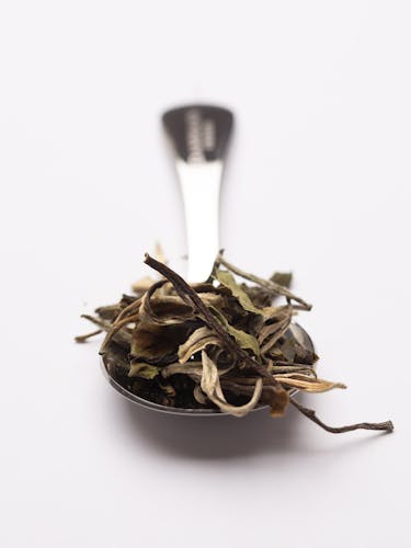Stainless steel measuring spoon with white tea in bulk.