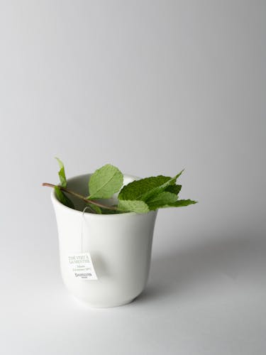 Thé vert à la menthe