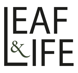 Logo Leaf and Life