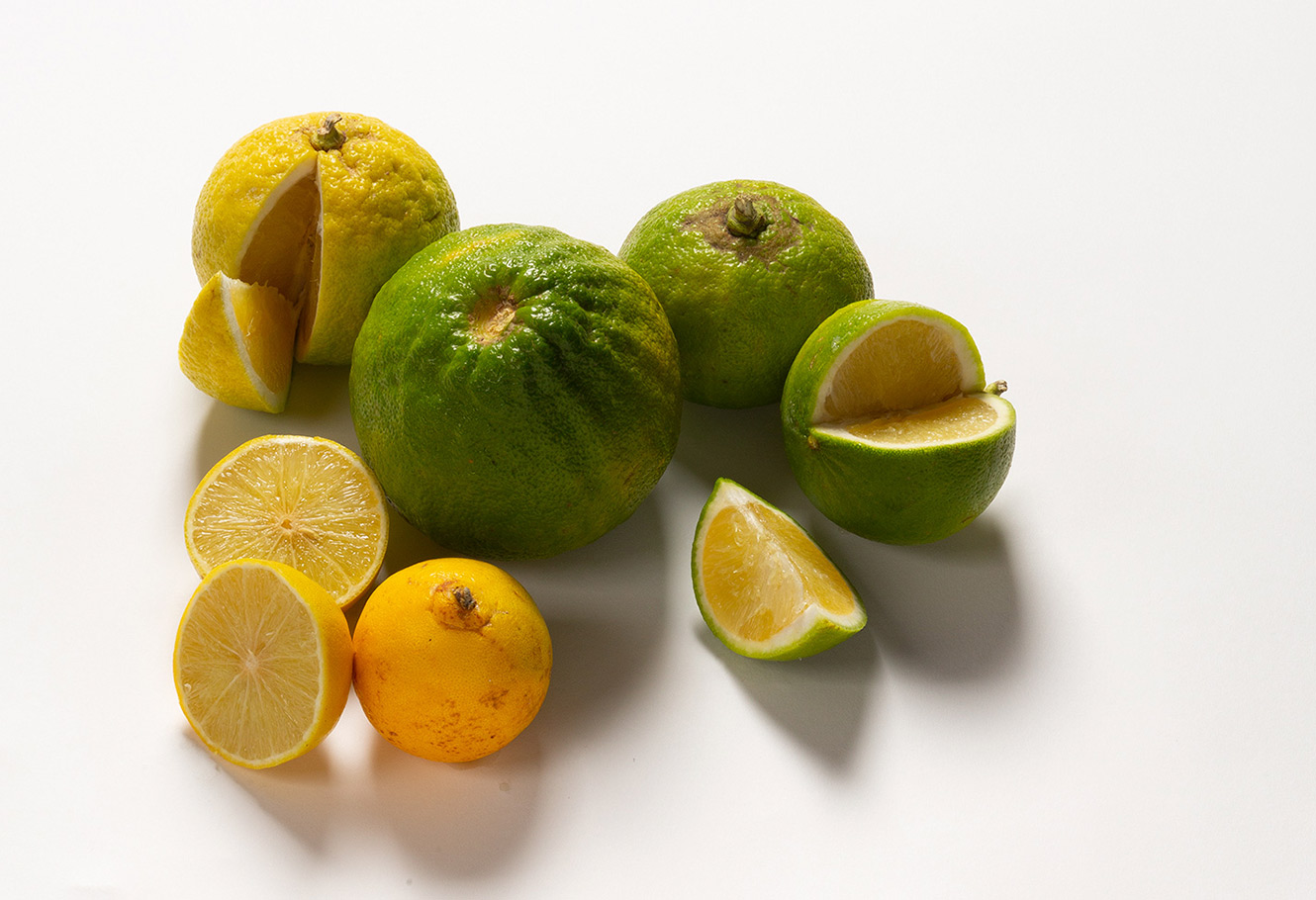 Fruits entiers et fruits coupés de bergamotes jaunes et bergamotes vertes.