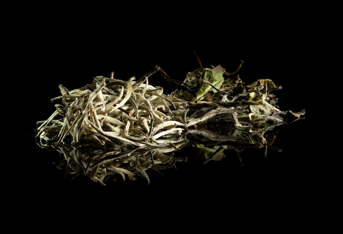 White tea leaves in bulk.