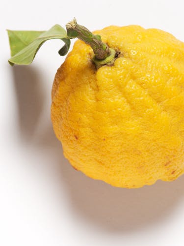 Bergamota