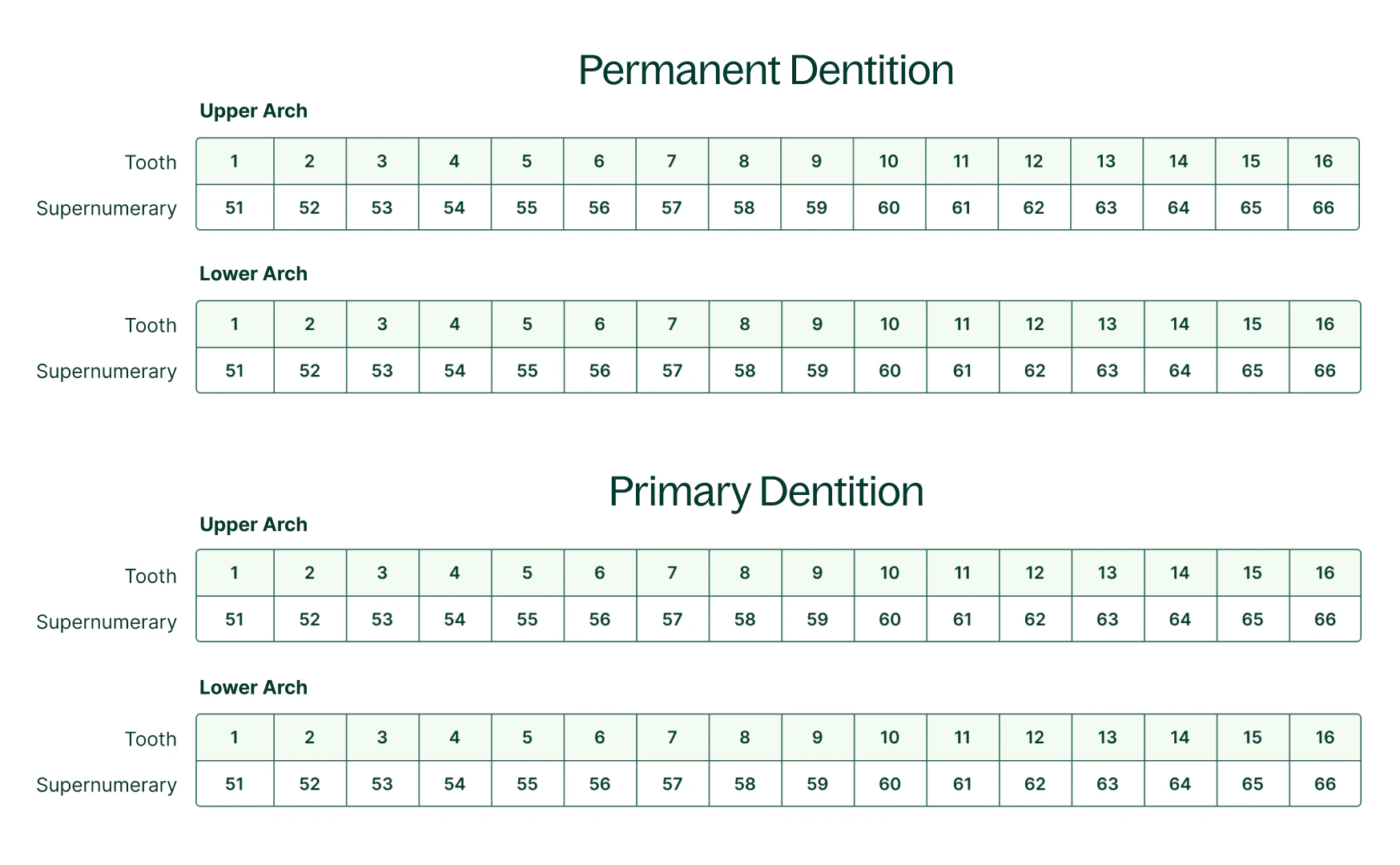 charting supernumerary teeth