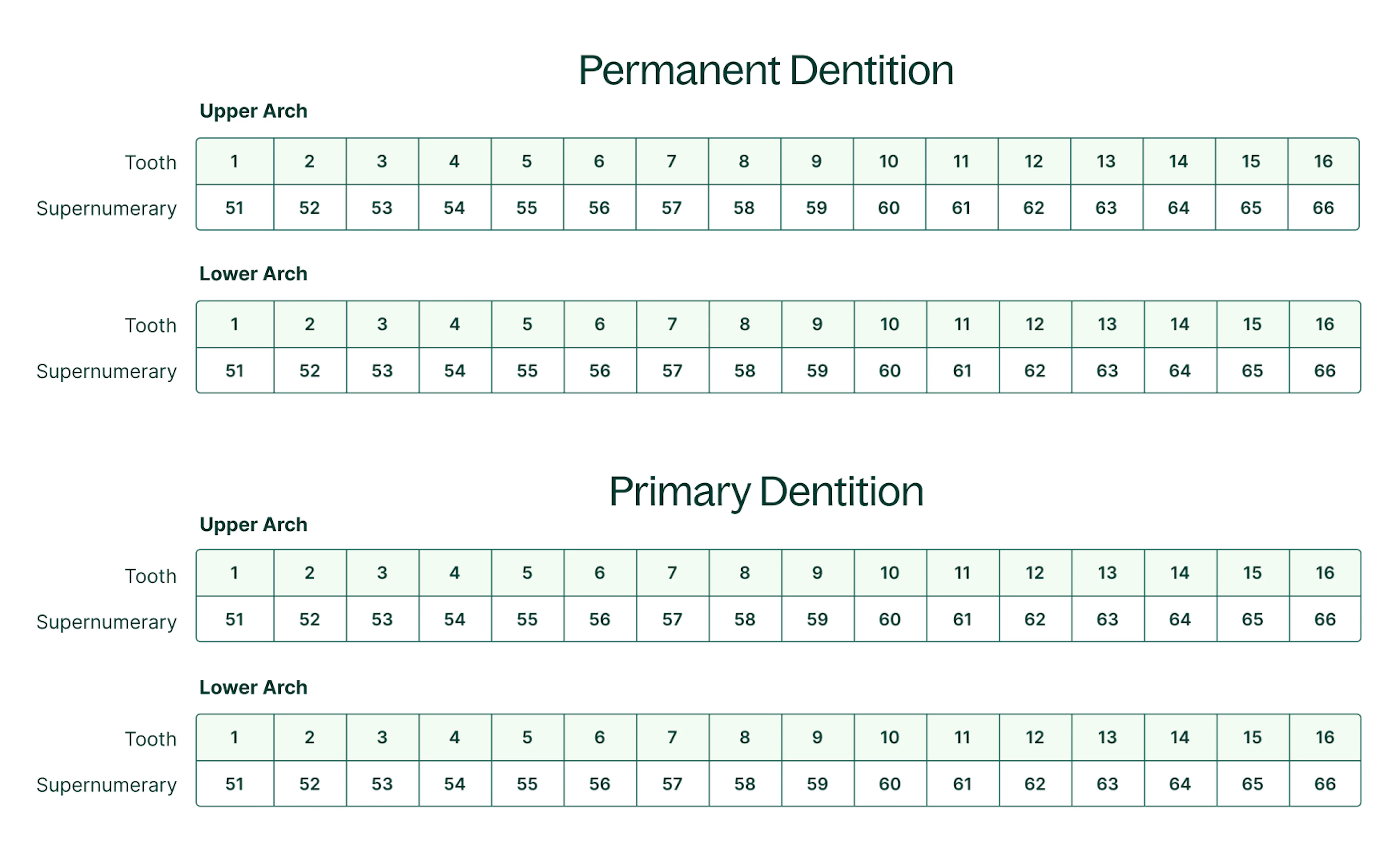 charting supernumerary teeth