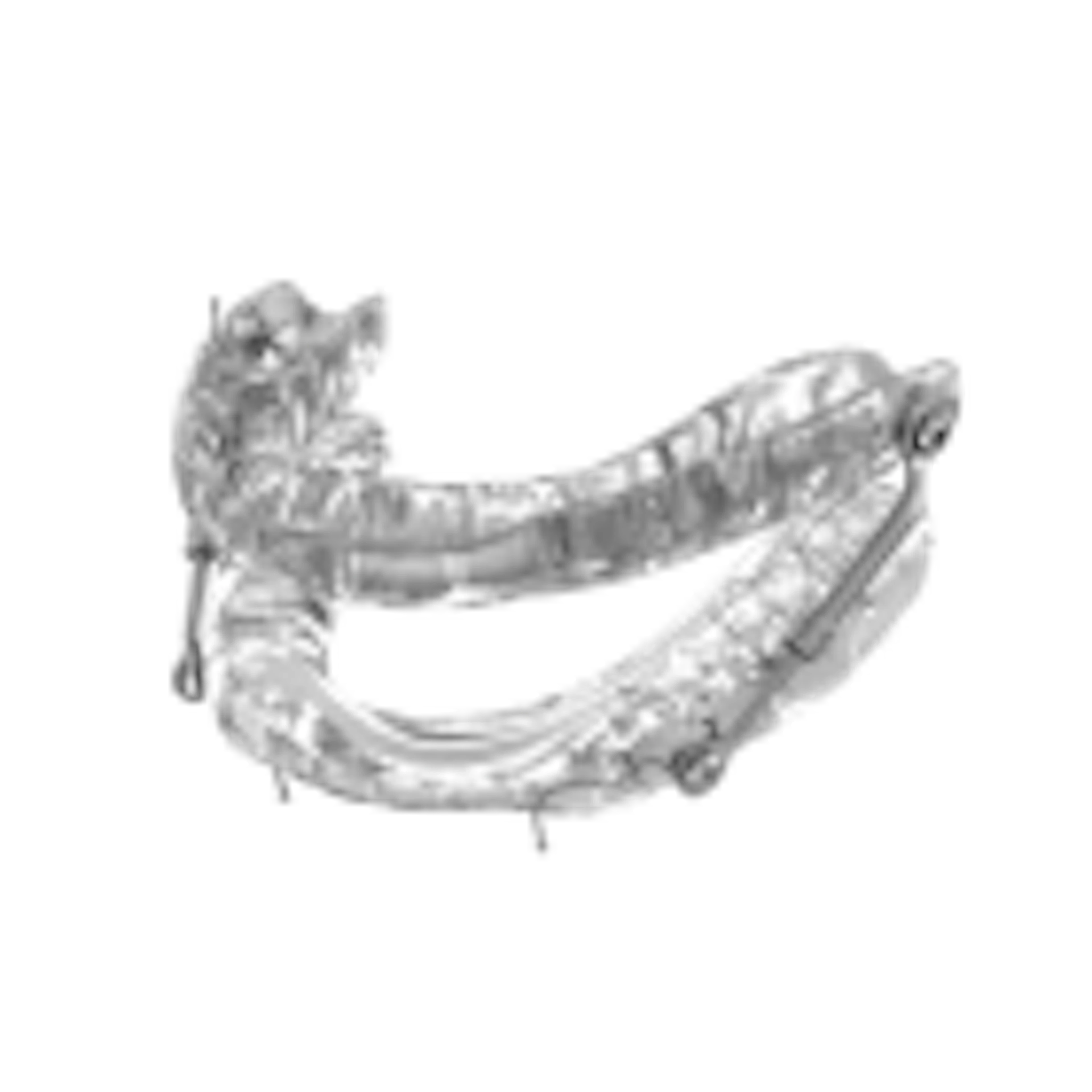 Sleep Apnea