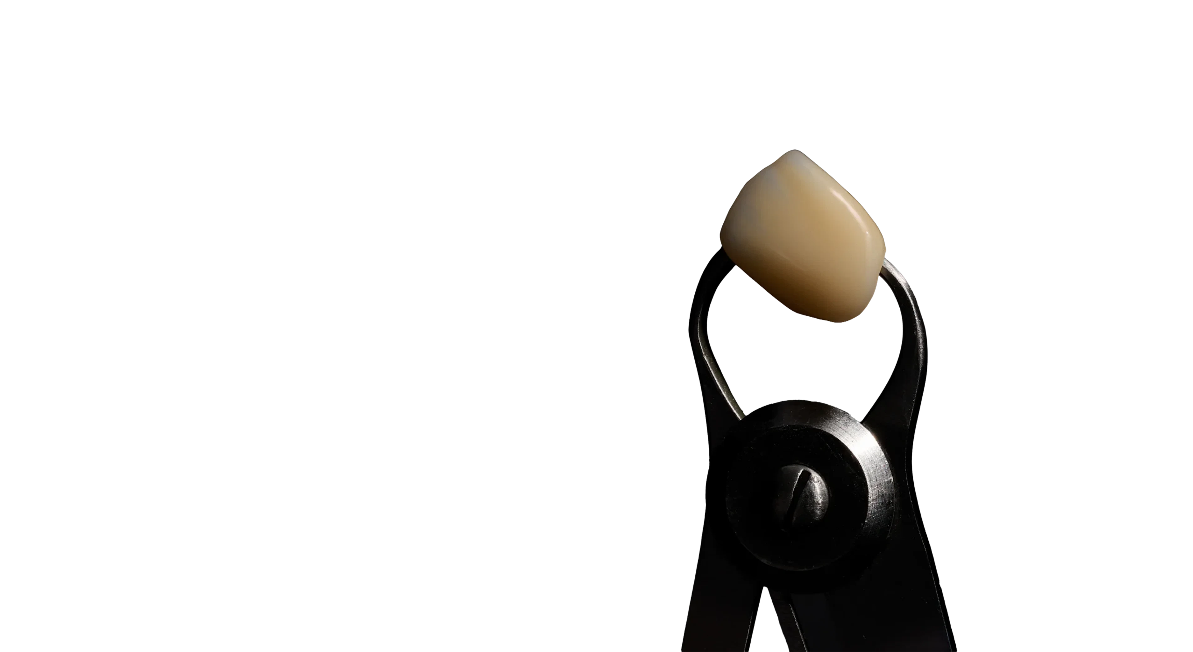 Polychromatic zirconia crown held in a dental caliper against a black background