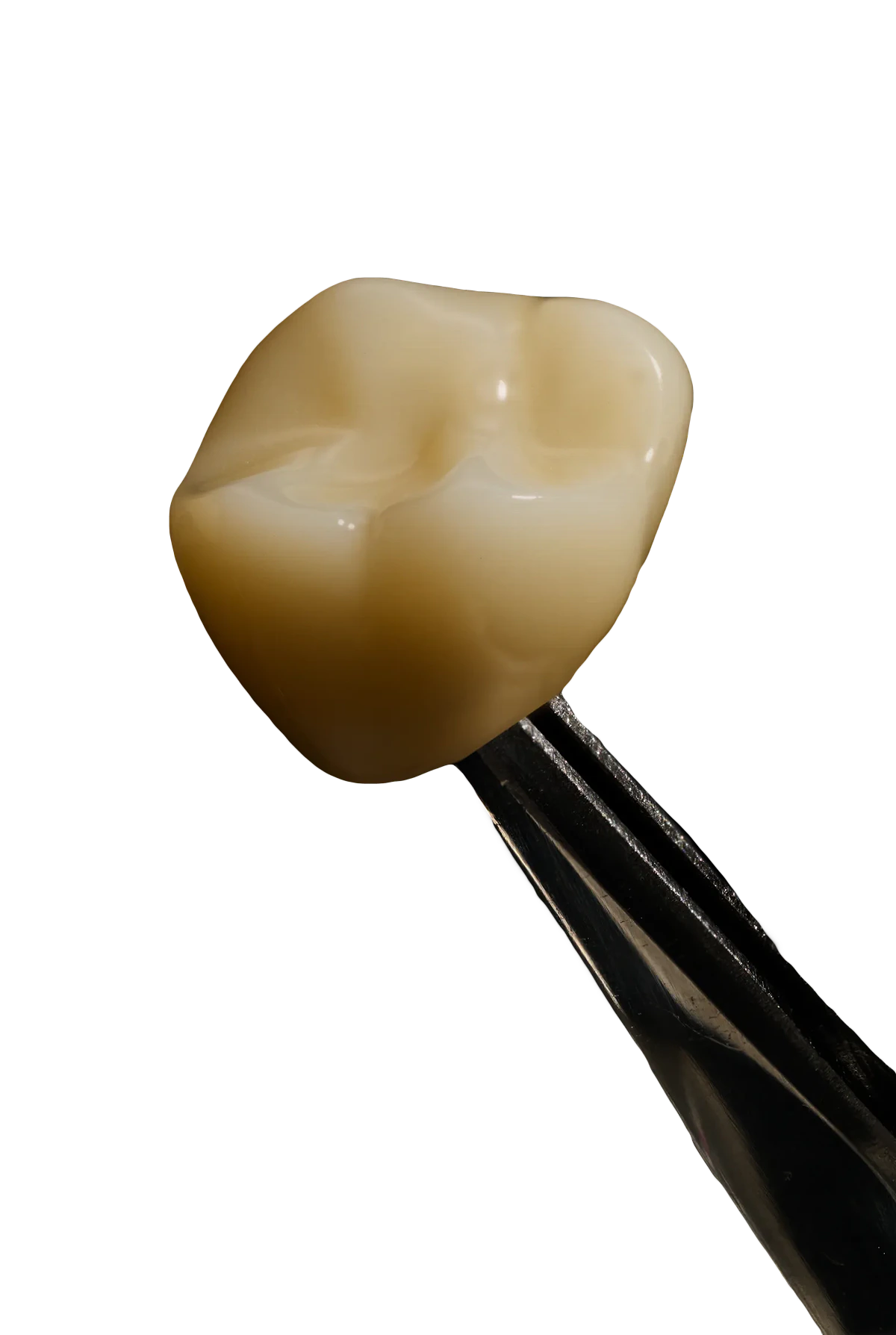 national_lab_polychromatic_crown_500x596-image-2