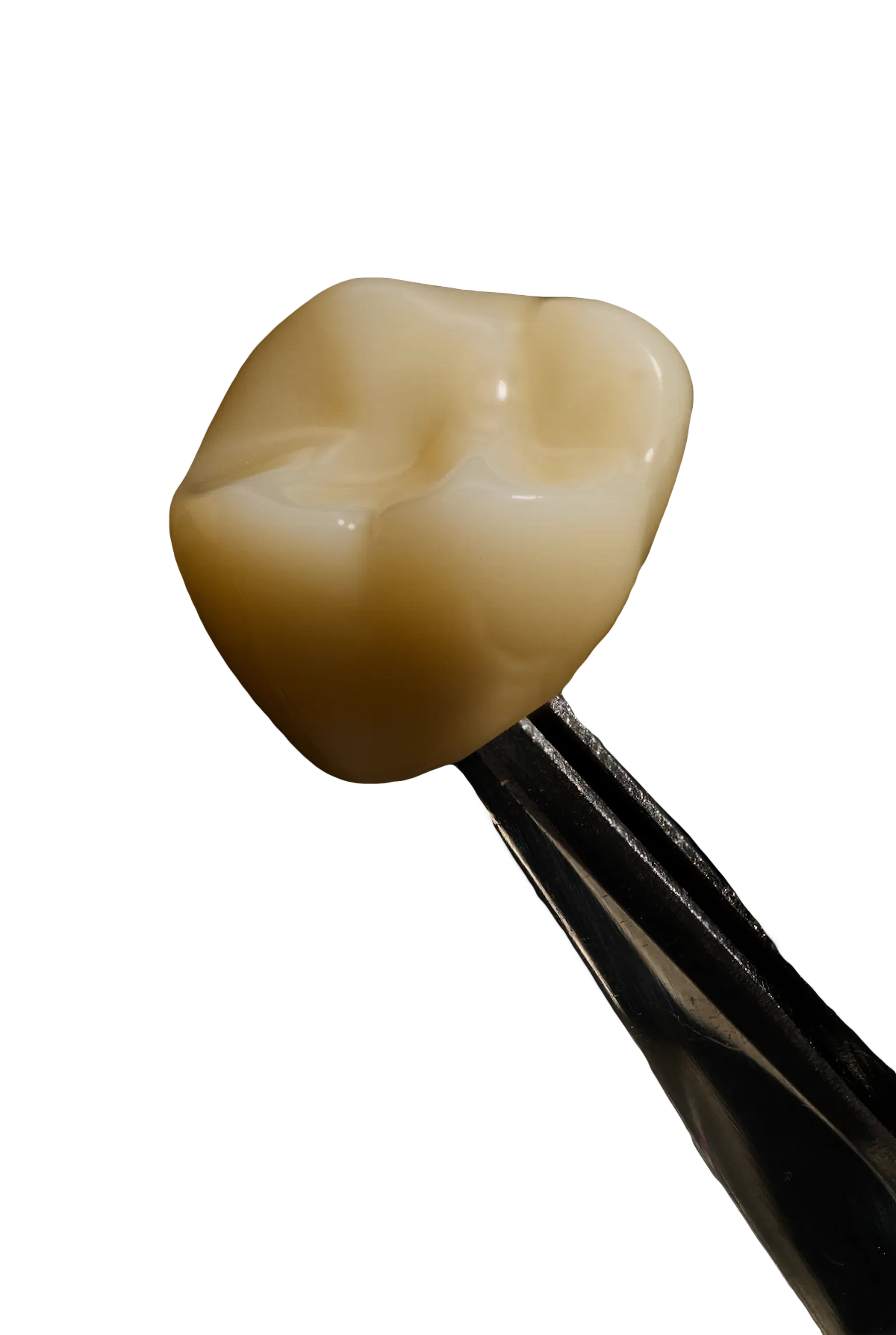 national_lab_polychromatic_crown_500x596-image-2