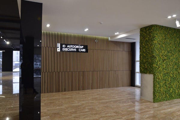 Project: ID AutoGroup