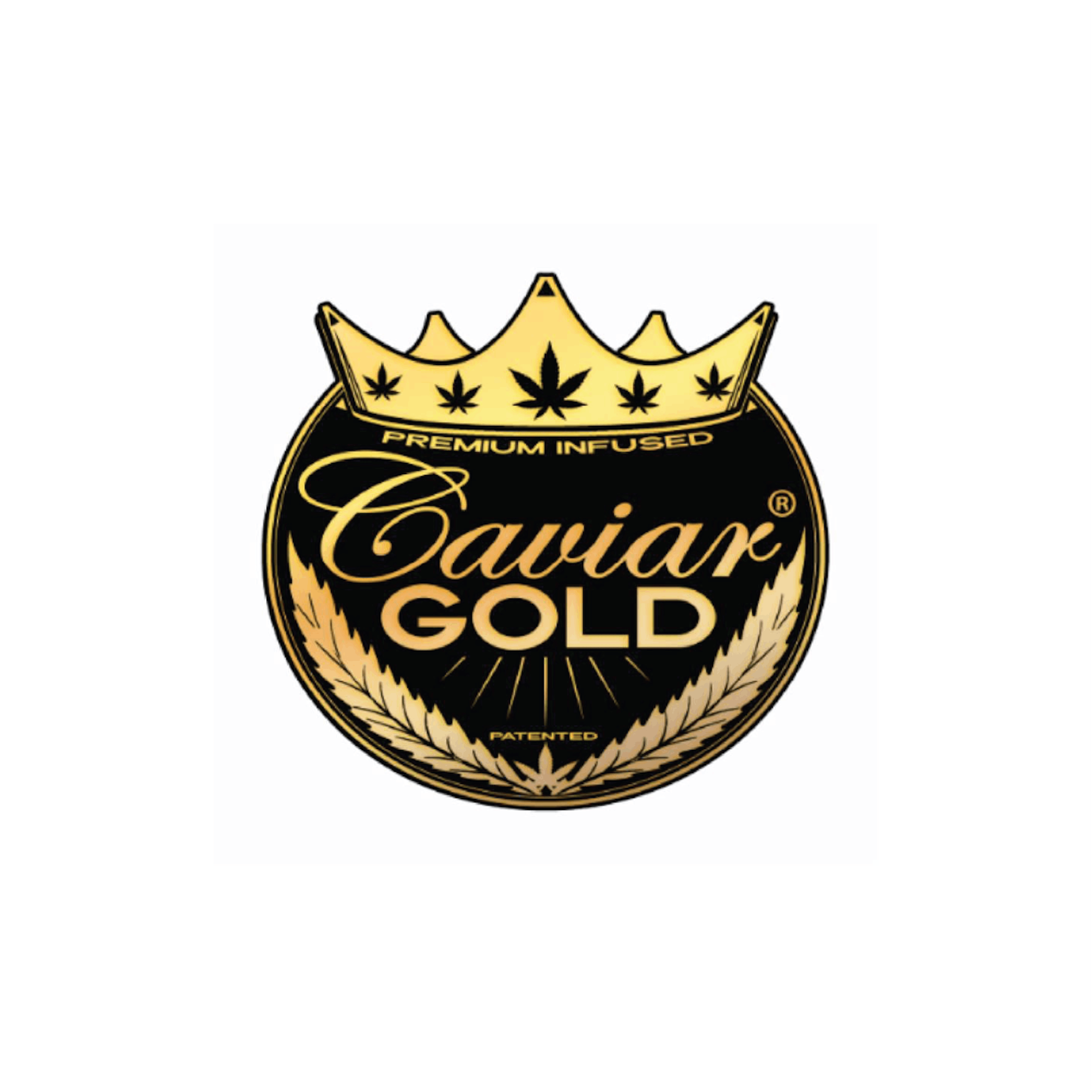 Cavia Gold Antelope