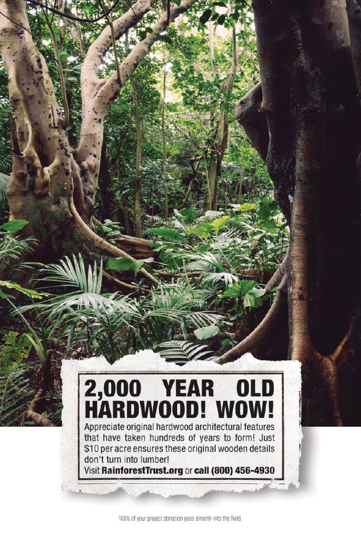 Rainforest Trust Clever and causedriven