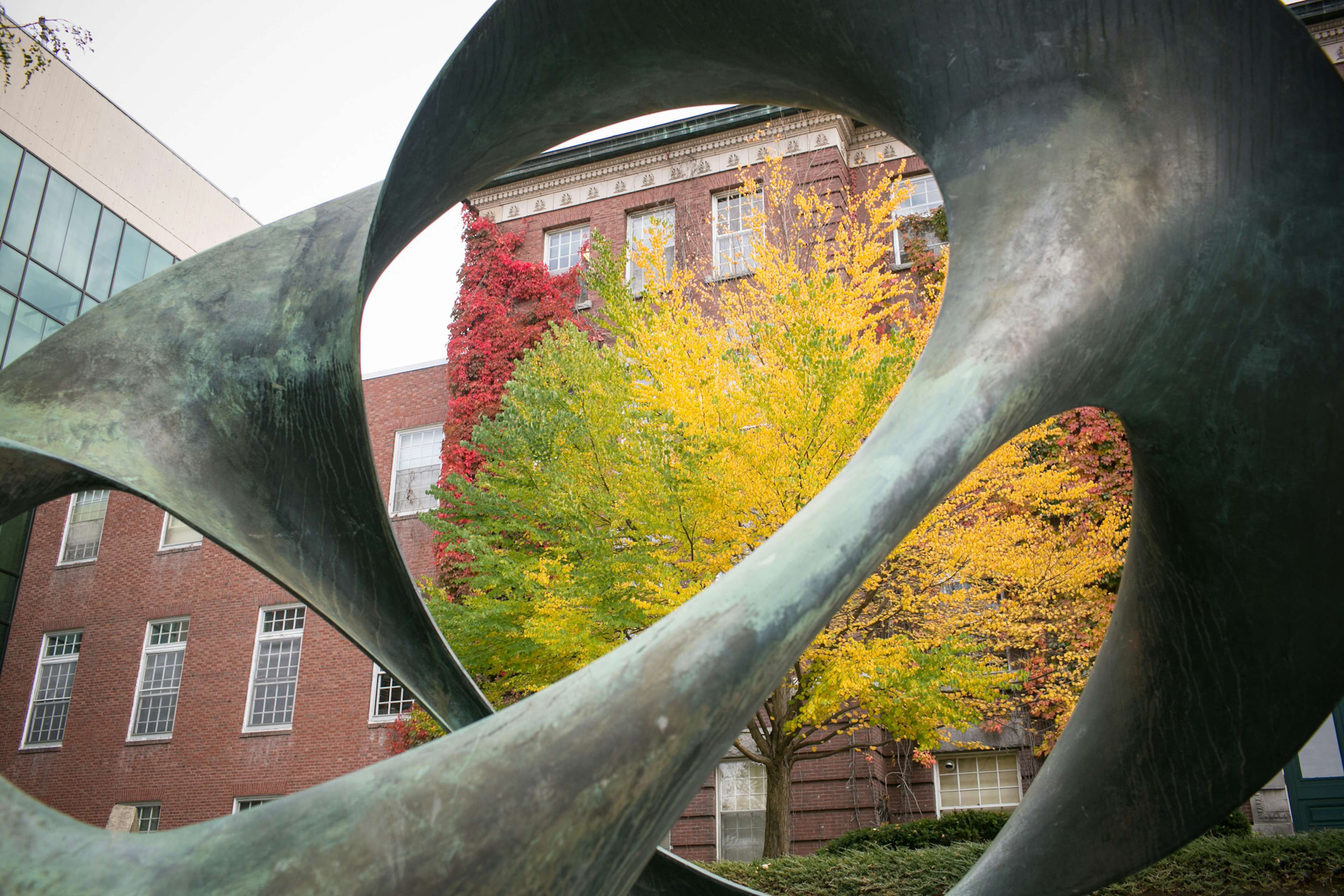 Campus - Fall Sculpture