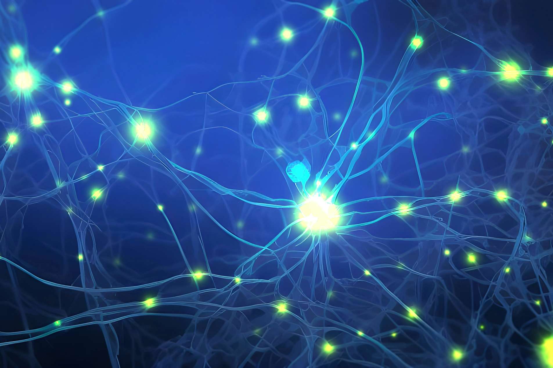 System biology at the cellular level