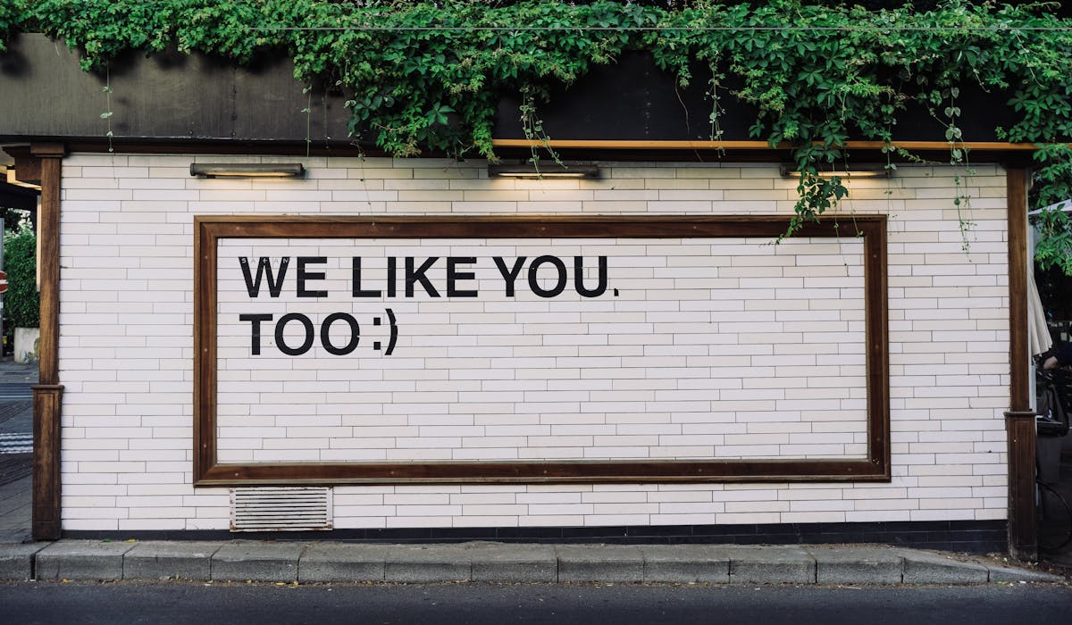 How to become an Amazon influencer and also be an Amazon seller.