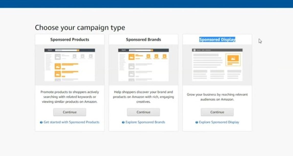 Amazon Campaign