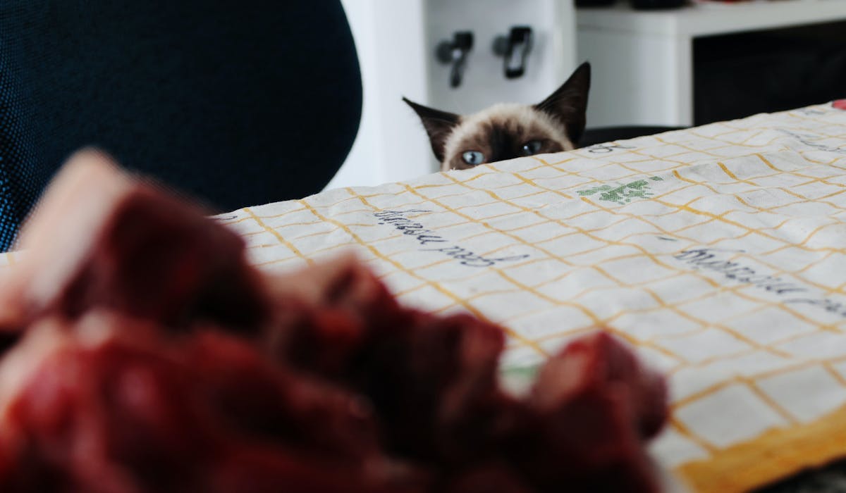 Protecting your FBA business from copycats