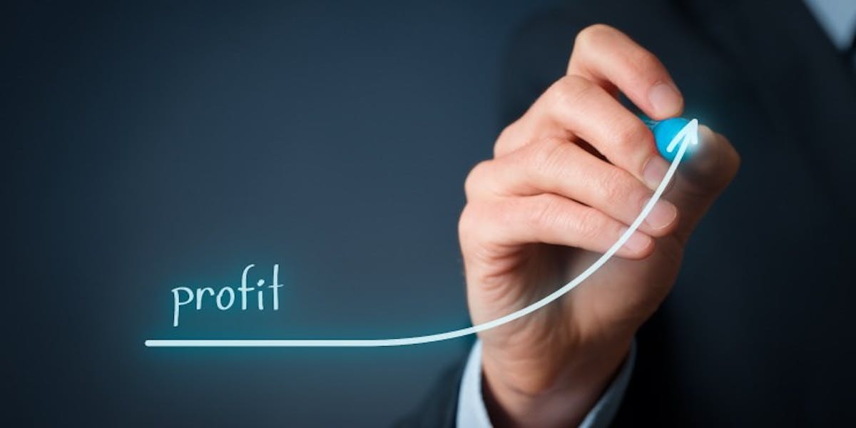 Maximize Profit Margins