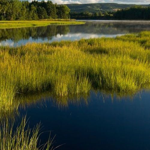 River with green grass in a valley