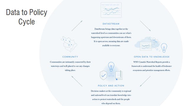 Data to policy cycle
