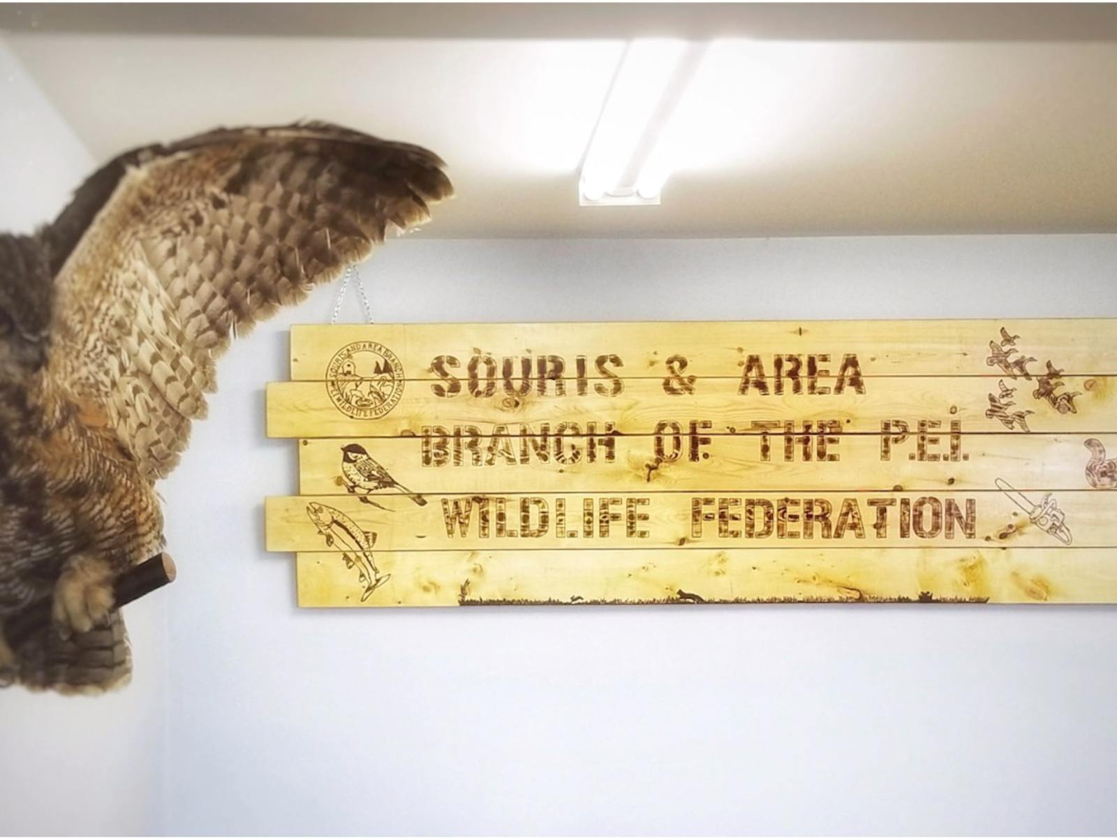 Wooden sign reading 'Souris & Area Branch of the PEI Wildlife Federation'