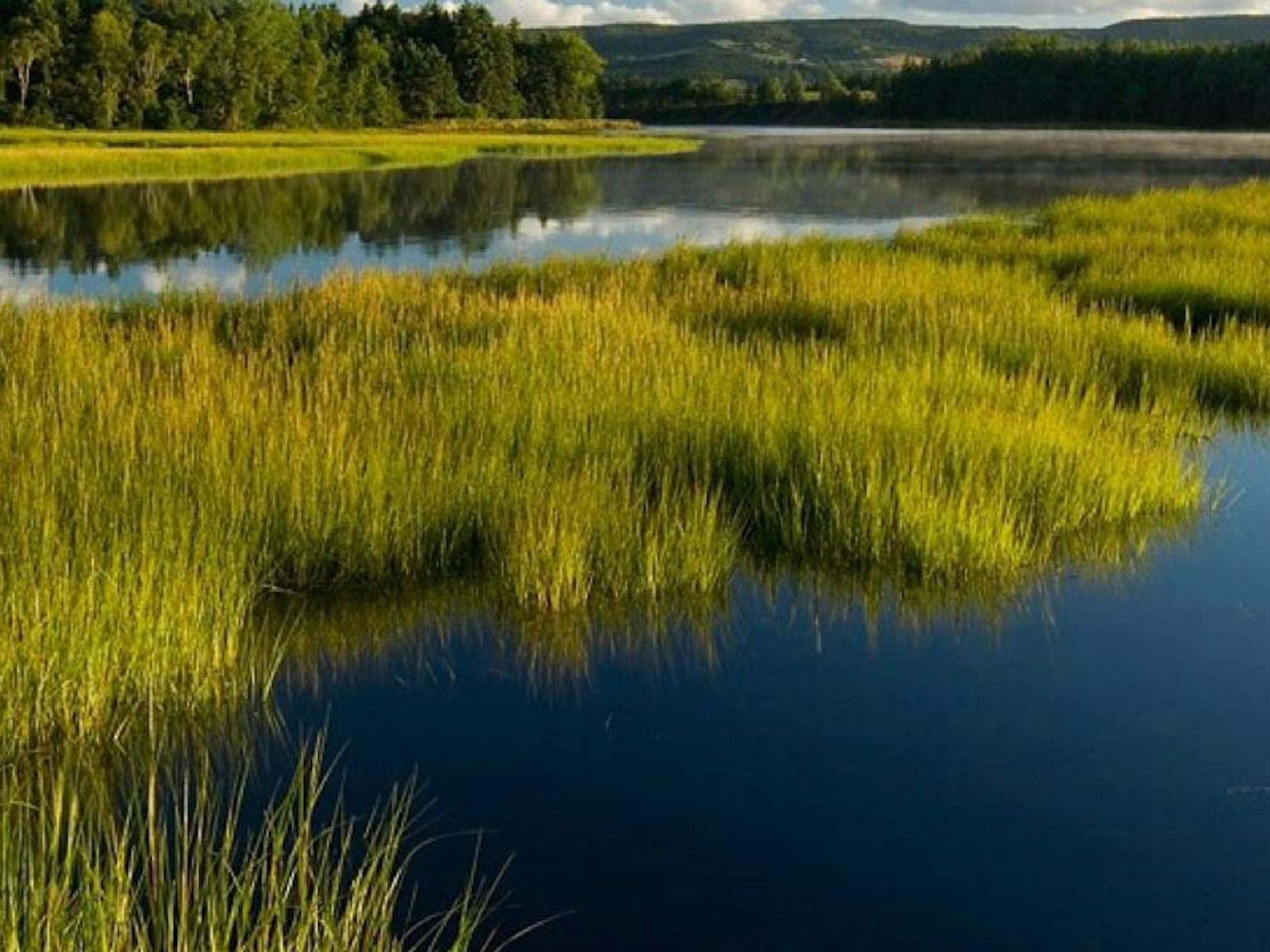 River with green grass in a valley