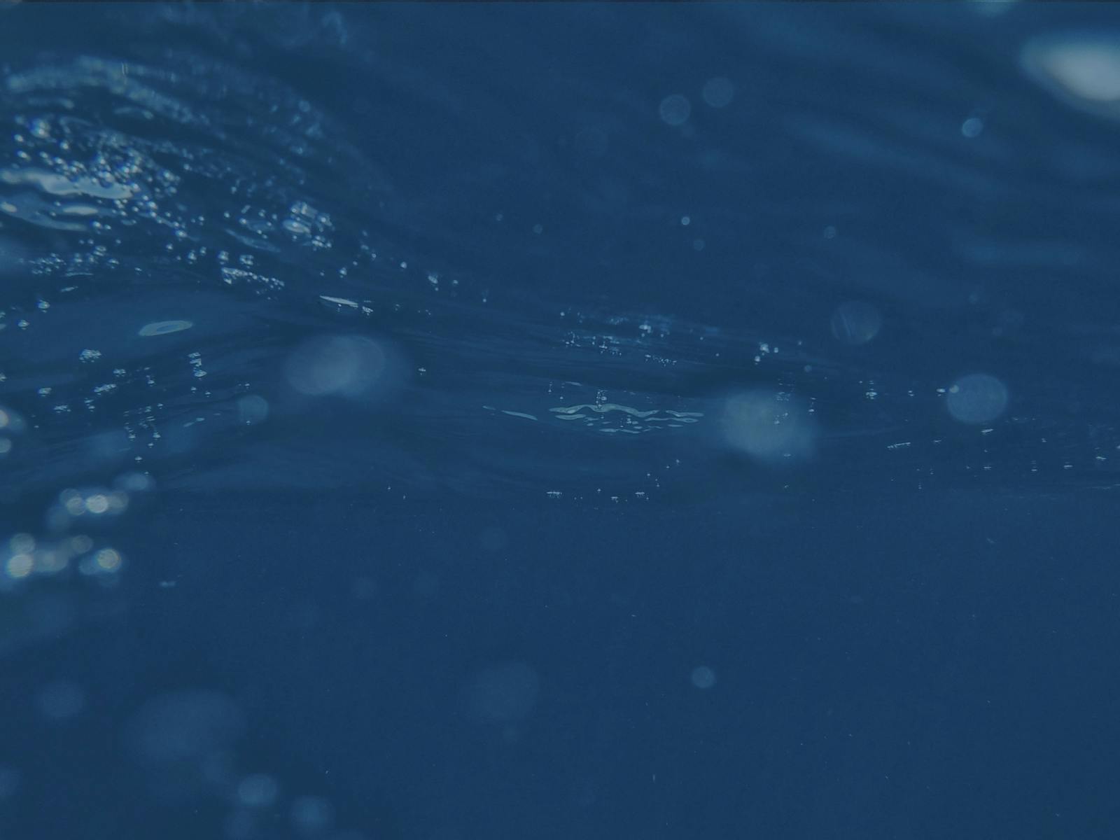 Dive into Data Webinar Series