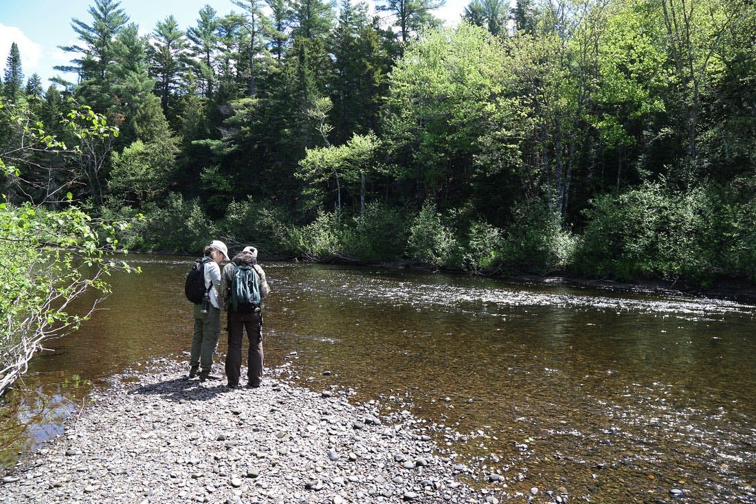 NCC staff doing field work at the Bartholomew River, near Miramichi, New Brunswick. Photo credit: Mike Dembeck