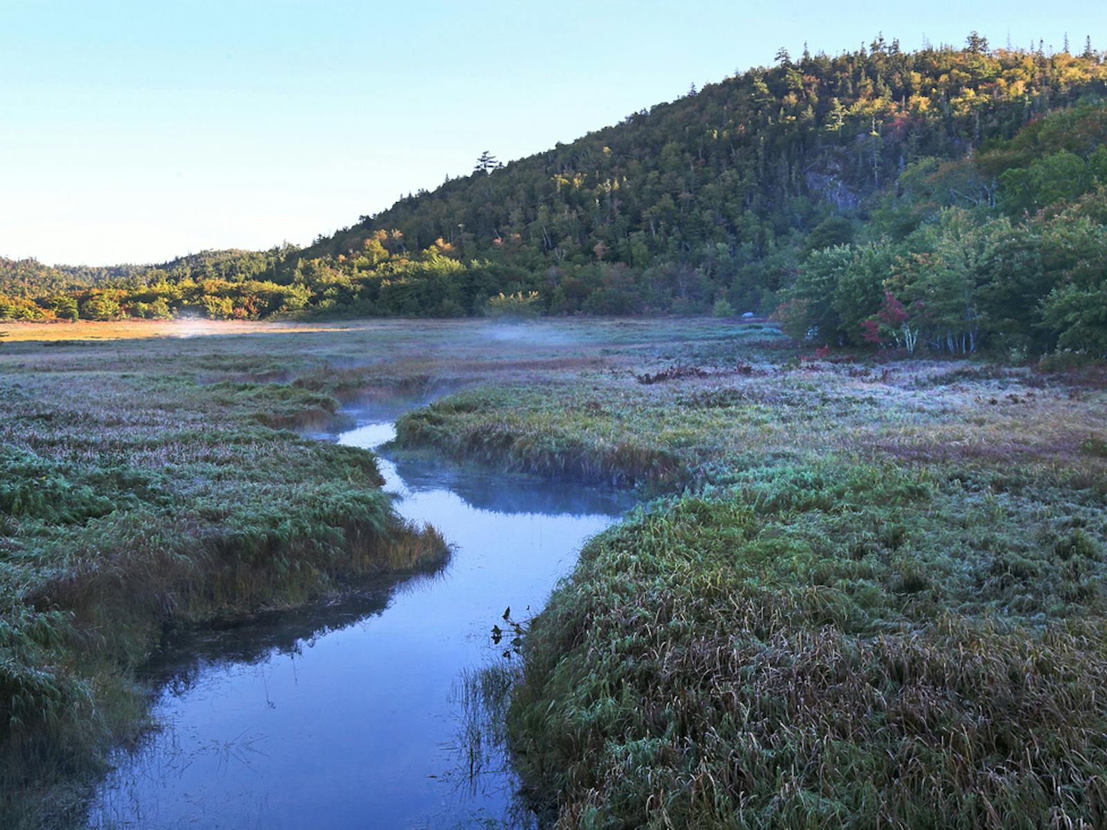 NCC Floodplain near the Musquodoboit River, NS