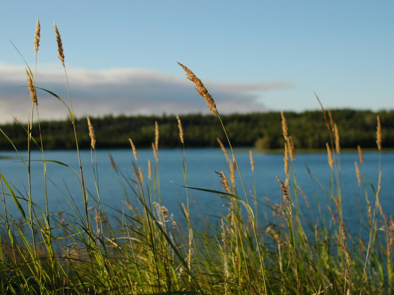 Building the Indigenous Guardians Network: In Conversation with Valérie Courtois