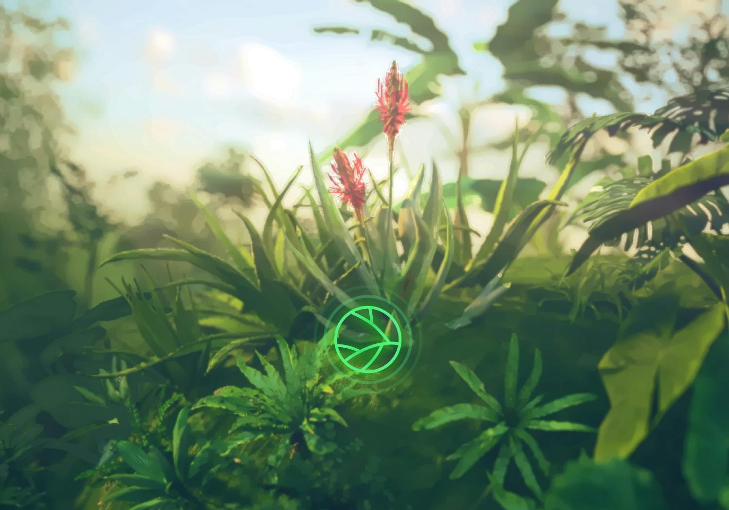 Beauty Sphere