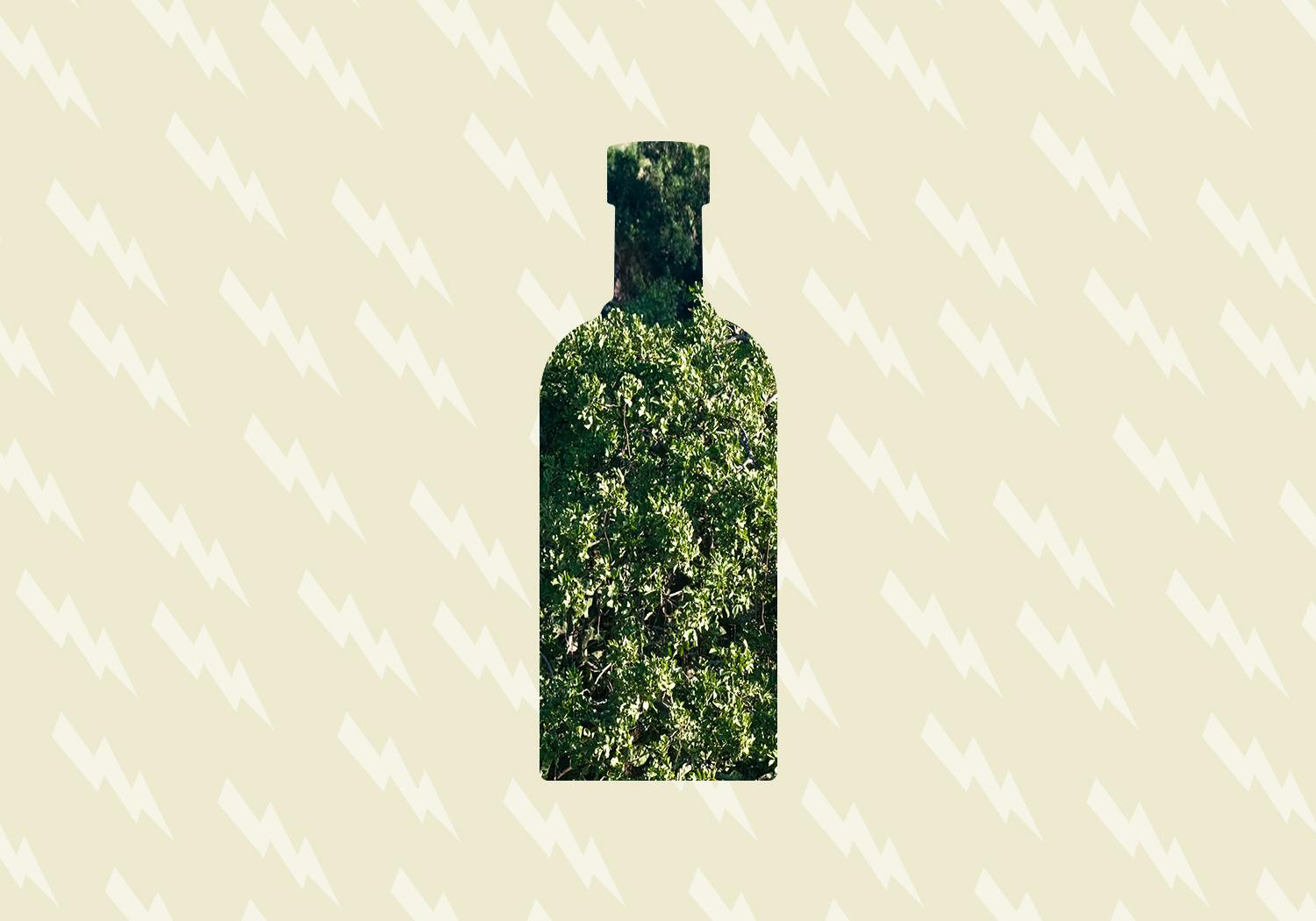 Absolut Travel