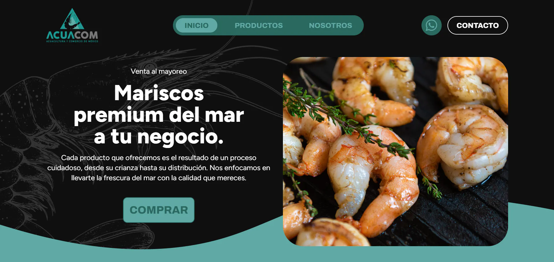 projects-acuacom-landing