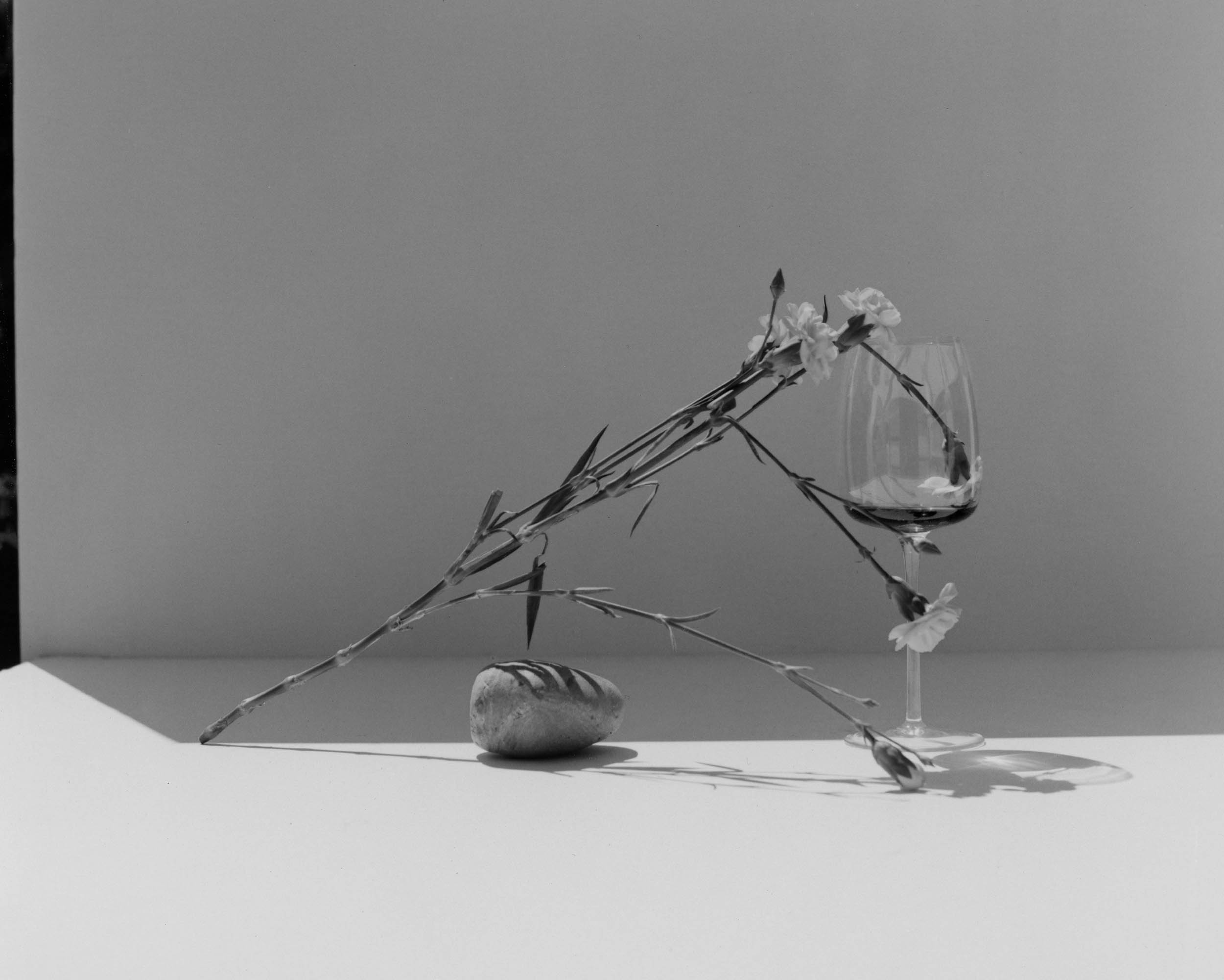 Still Life image 5
