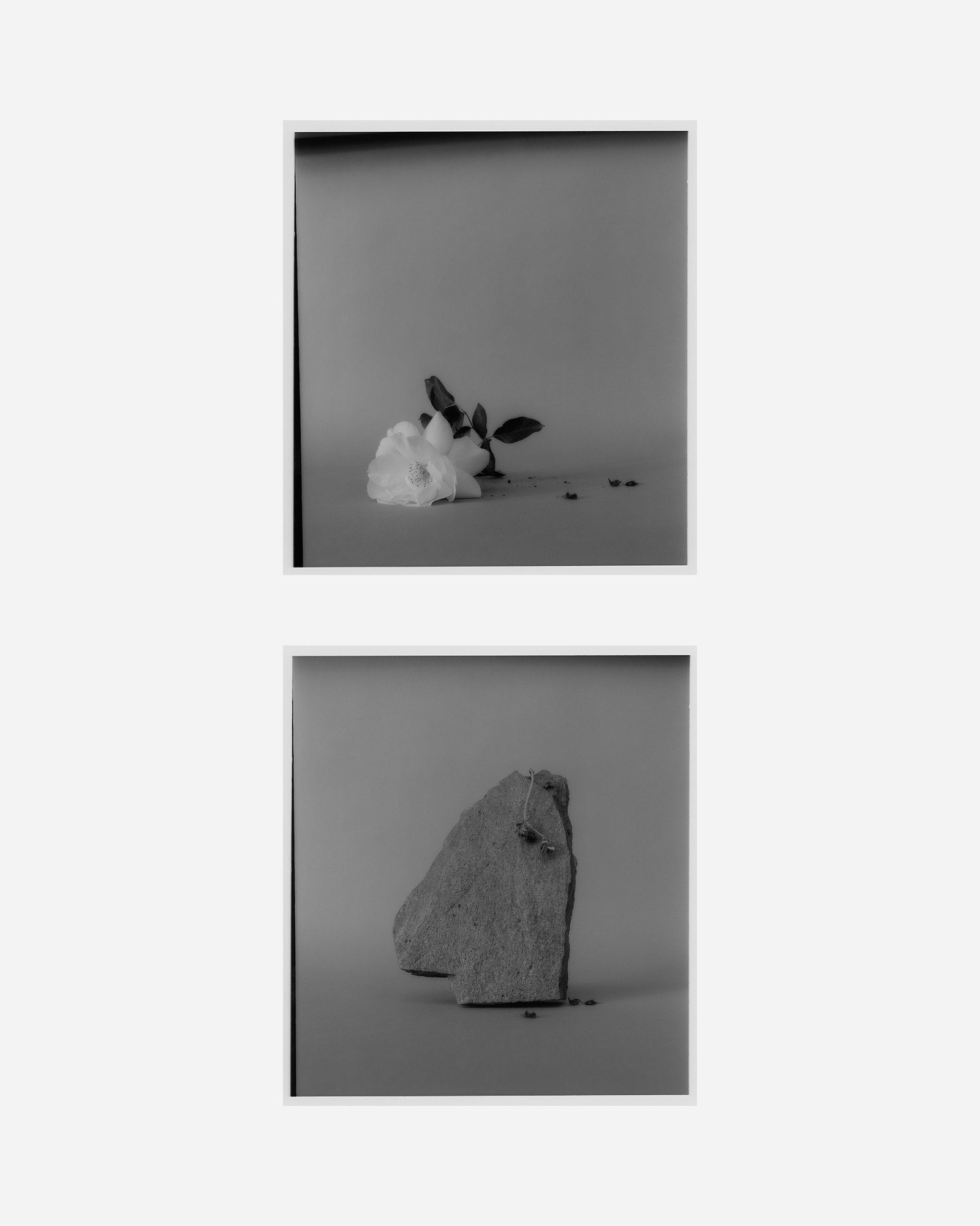 David William Baum Photograph Catalogue