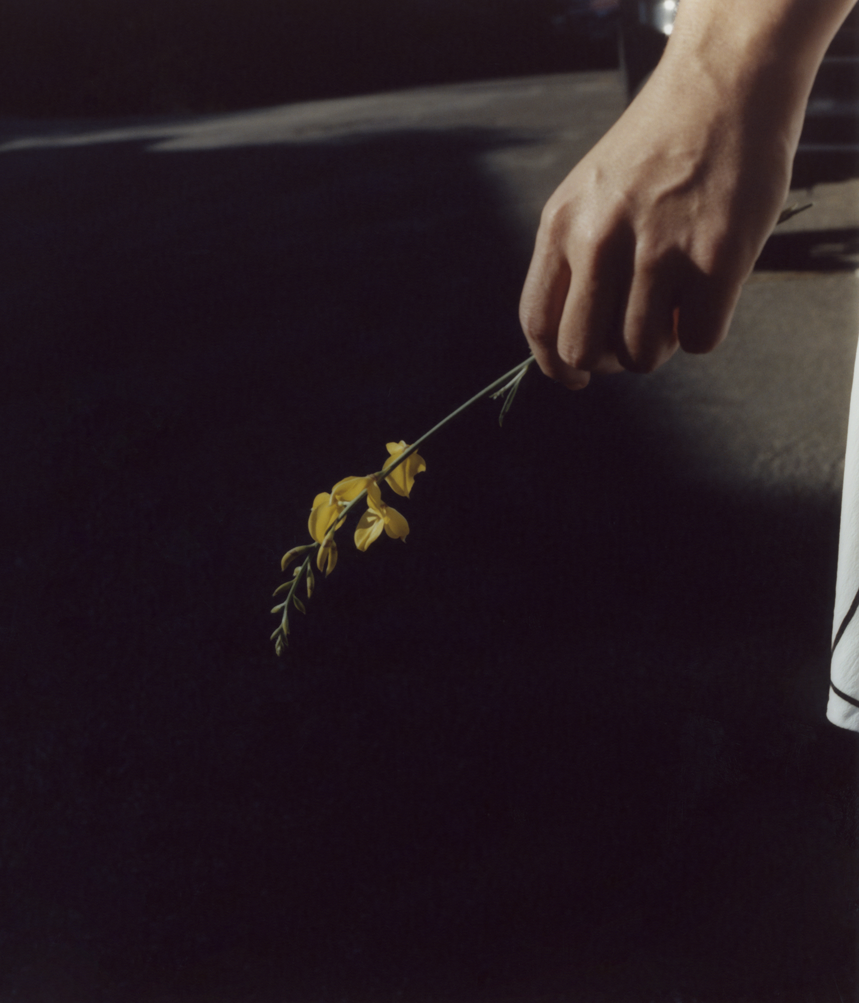 David William Baum Photograph Catalogue