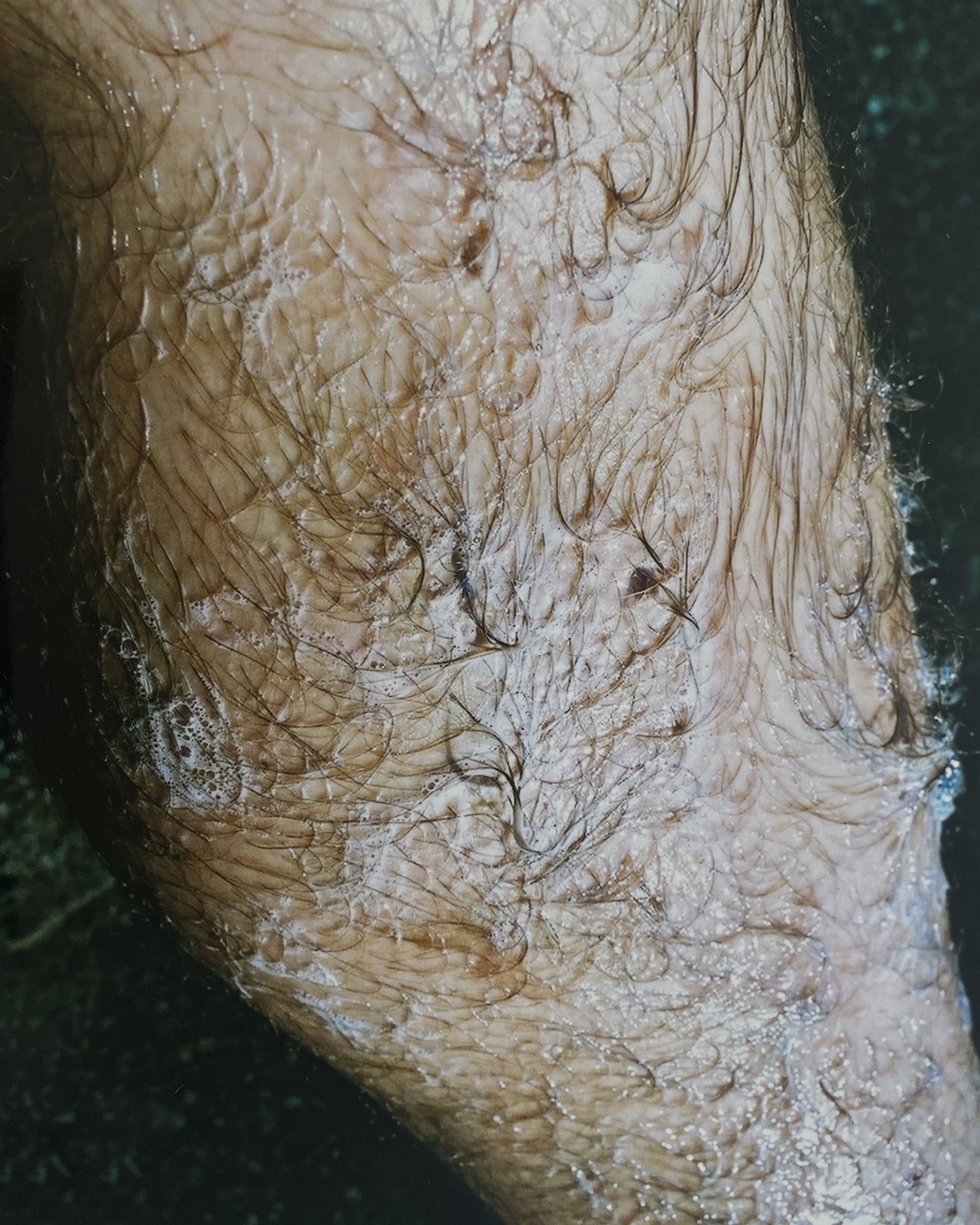 Orris Paris - 2021 image 5