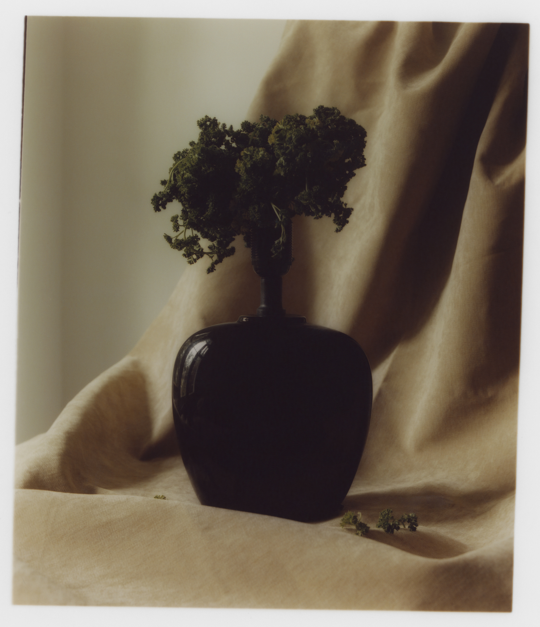 David William Baum Photograph Catalogue