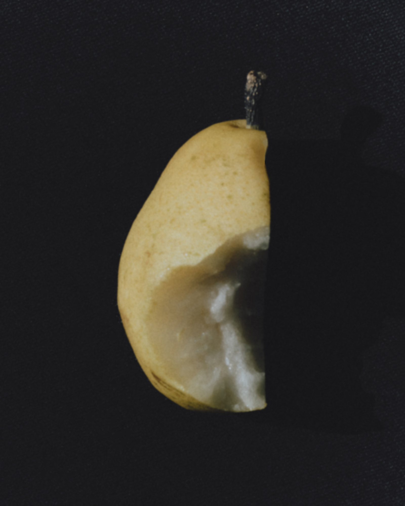 Orris Paris - 2022 image 9