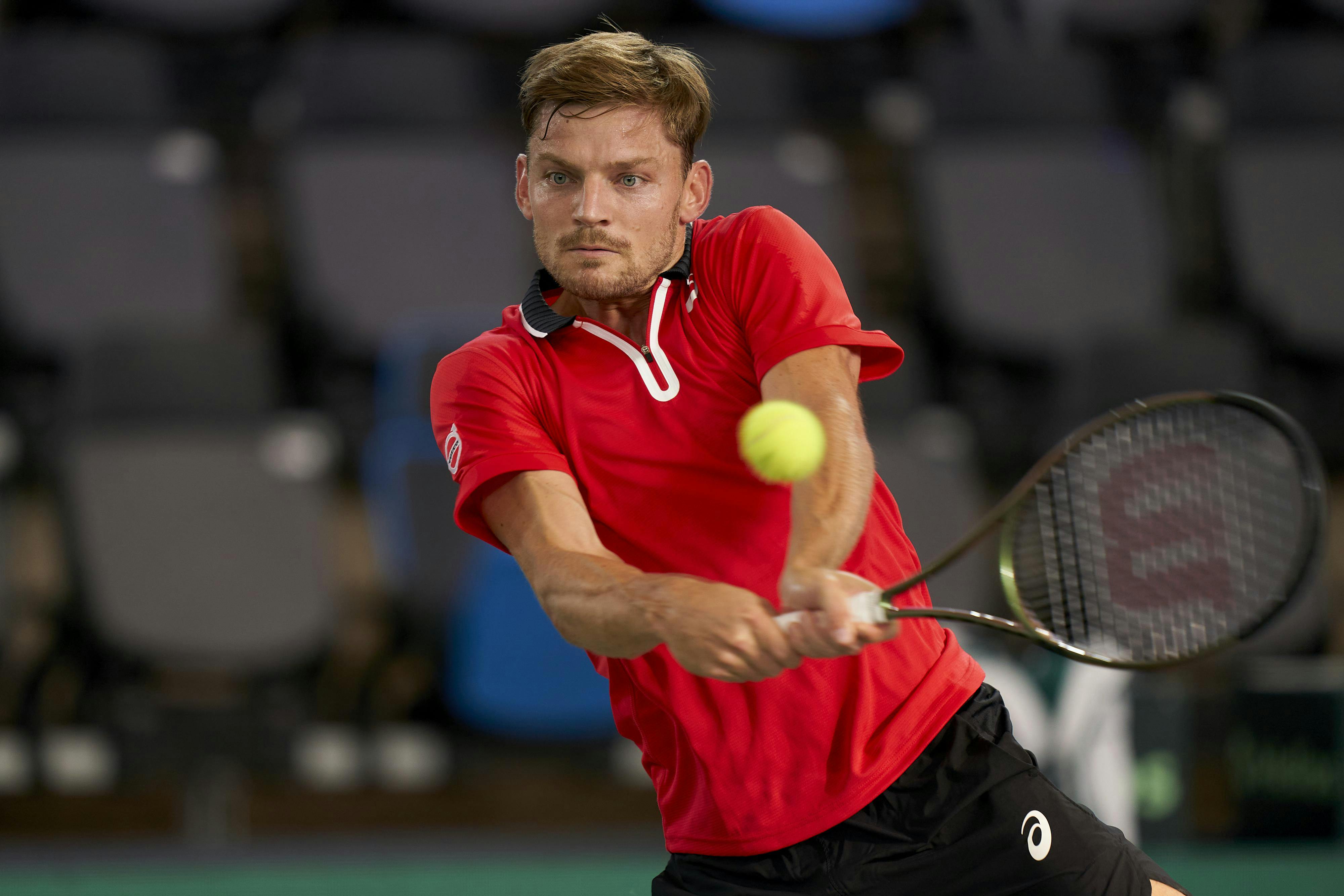 David Goffin (BEL)