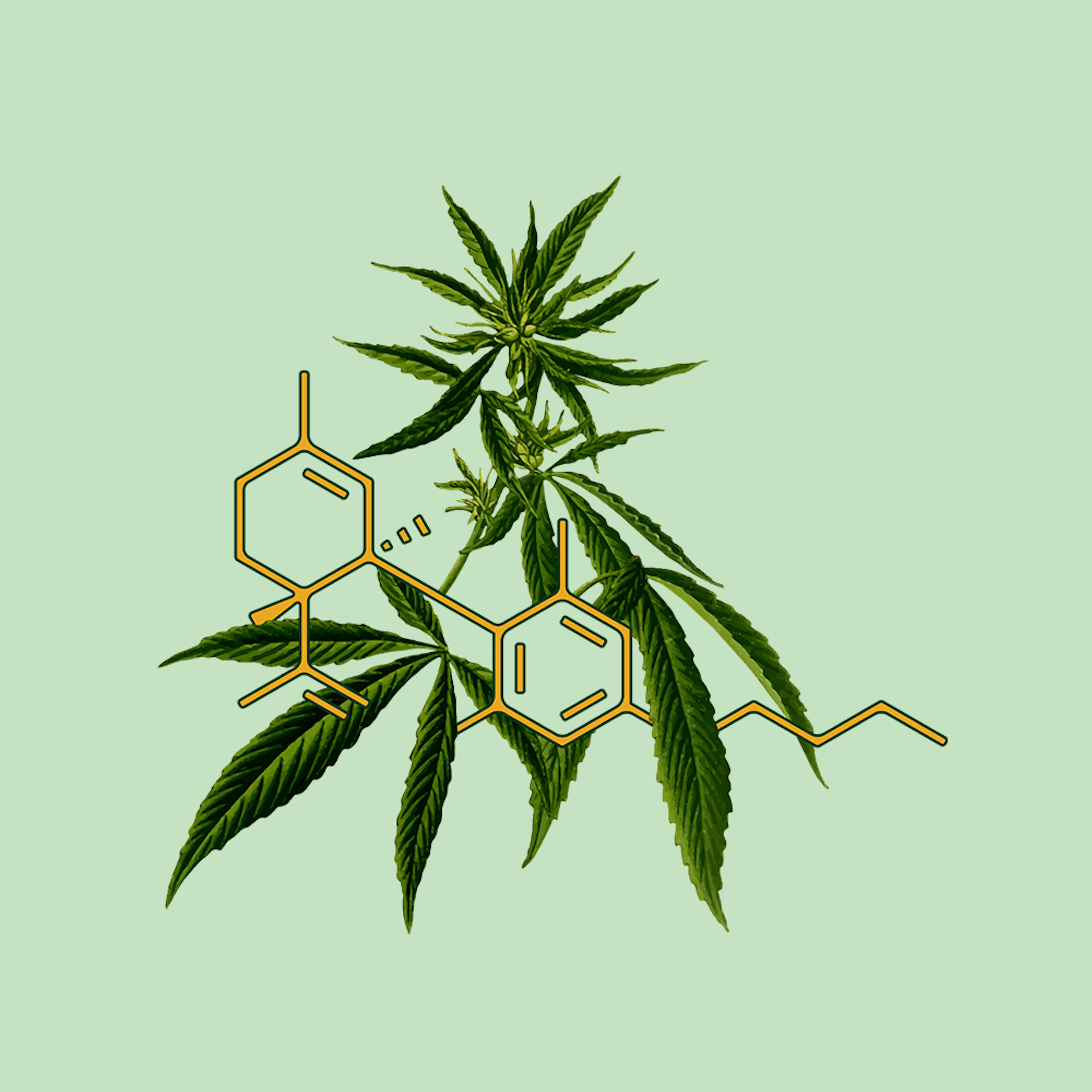 CBD pregnancy breastfeeding