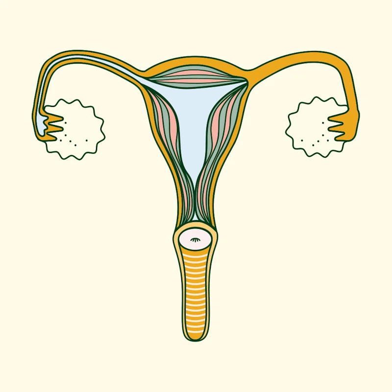 endometriosis symptoms