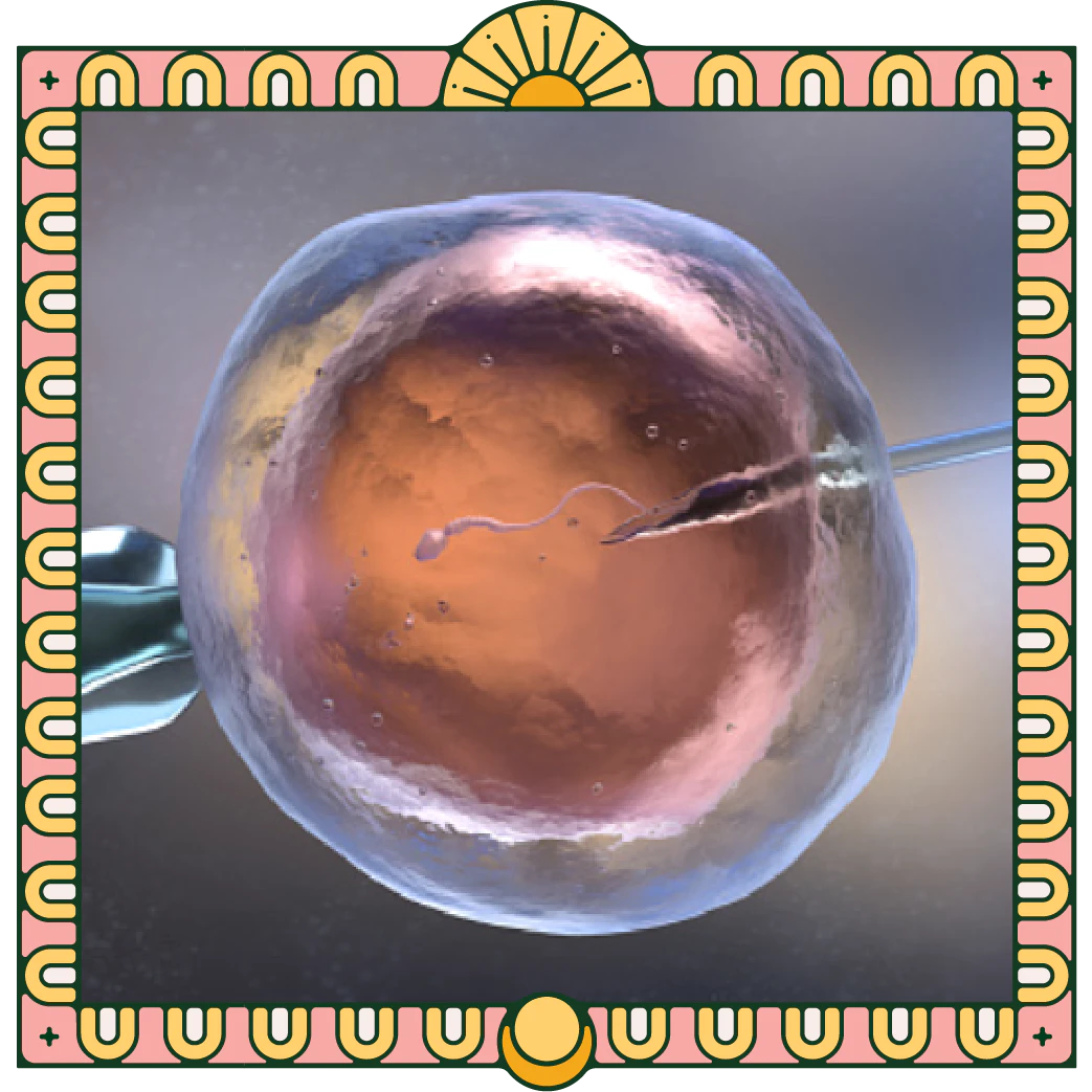 pregnancy-ivf